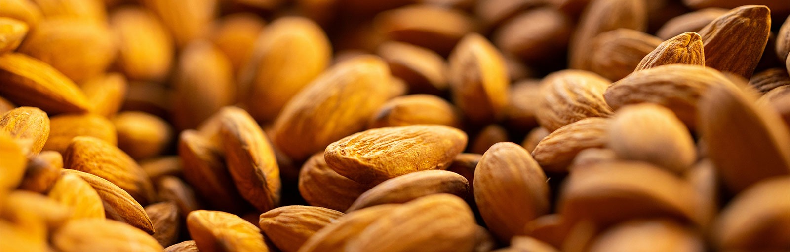 Almendras enteras a granel La Semilla